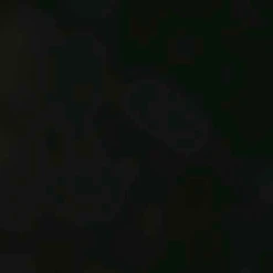 Falke Sk5 Skisok Dames -Openlucht Sport Serie 3214878 4043876873244 2