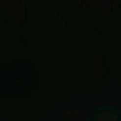 Falke Sk5 Skisok Heren -Openlucht Sport Serie 3214881 4043876874098 1